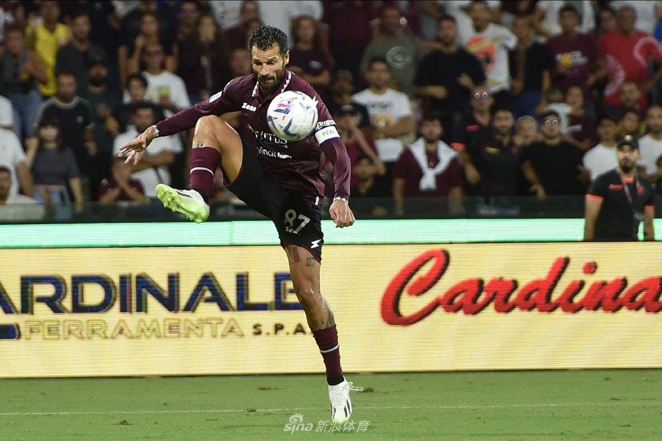 这意味着他 这意味着他